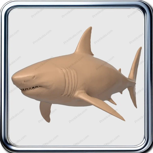 مدل سه‌بعدی کوسه سفید (White Shark)