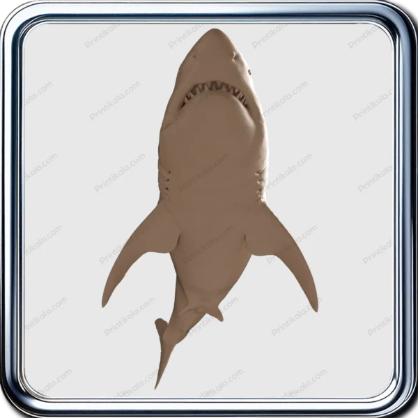 مدل سه‌بعدی کوسه سفید (White Shark)
