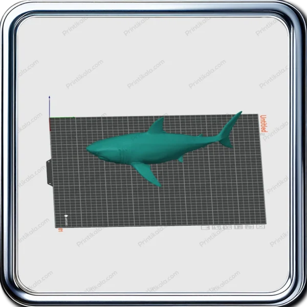 مدل سه‌بعدی کوسه سفید (White Shark)