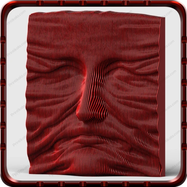 مدل سه‌بعدی – Contour Visage